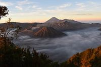 Zonsopgang Bromo, Java, Indonesië
