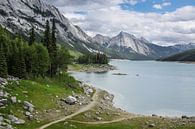 Medicine Lake in de Rocky Mountains van Canada van Hilda Weges thumbnail