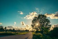 Evening light 2