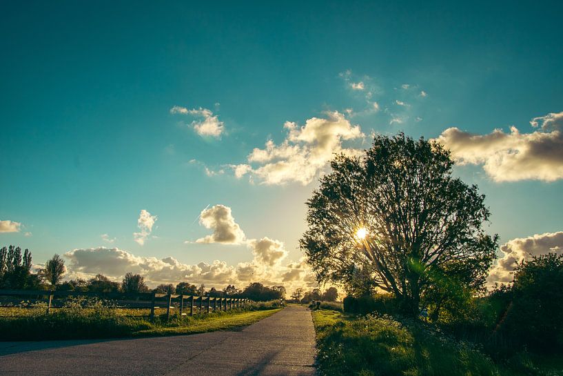 Evening light 2 by Douwe Schermer