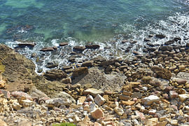 Unberührter Fischerweg (Rota Vicentina) von Burgau nach Praia da Luz