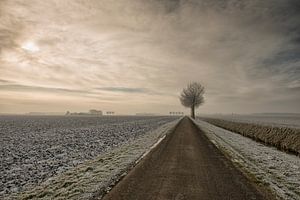 Le silence de l'hiver
