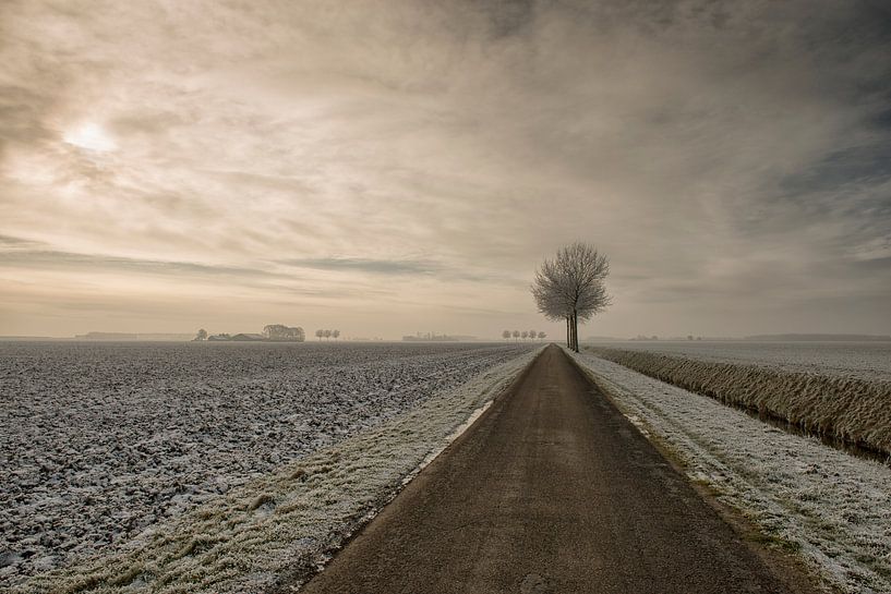 Le silence de l'hiver par Monique van Velzen