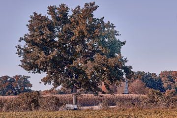 Herfstsfeer in Bad Salzuflen VI van Momentaufnahme | Marius Ahlers