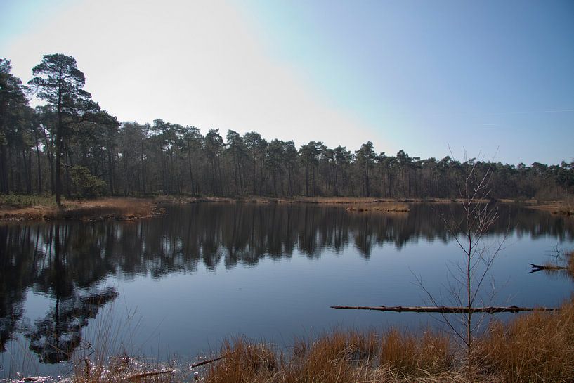 Staalbergven by Jan van der Meer