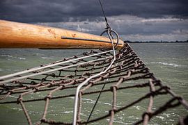 Lemsteraak in action by Jasper van Staveren