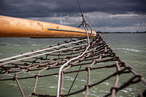 Lemsteraak in action