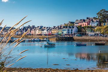 Hafen von Camaret-sur-Mer, Bretagne von Christian Müringer