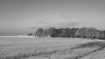 Winterlandschap rond Gulpen-Wittem, Zuid Limburg, zwart-wit van Marjolein Zijlstra