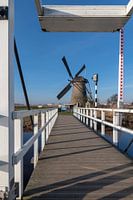Blauwe lucht Hollands landschap met de windmolen