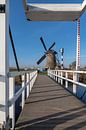 Blauer Himmel niederländische Landschaft mit der Windmühle von Digikhmer Miniaturansicht