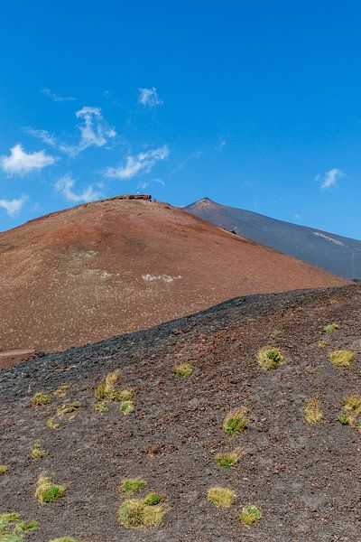 Blick auf den Vulkan Ätna im Sommer in Sizilien, Italien von WorldWidePhotoWeb