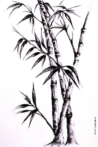 Elegant Bamboo by Ineke de Rijk