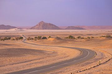 Namibië de weg naar Sossusvlei van Martin Jansen