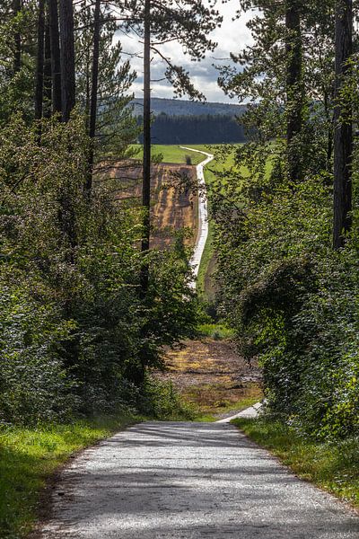 Chemin de Couvin by Franksfotoforum
