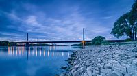 Bonn