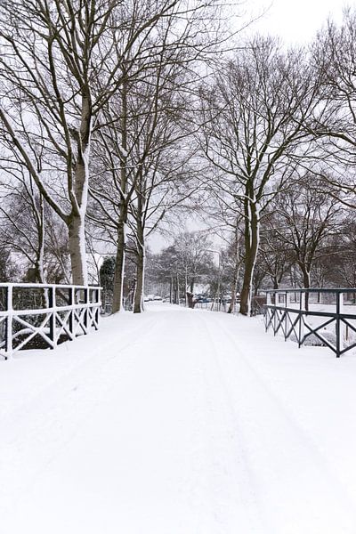 Een witte kerst? van As Janson