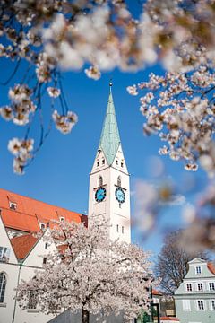 Amandiers en fleurs au printemps sur la place et l'église St. Mang sur Leo Schindzielorz