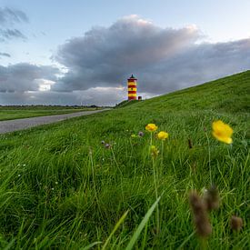 Flower meadow in front of the Pilsum lighthouse by Marc-Sven Kirsch