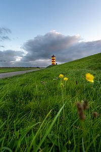 Blumenwiese vor dem Pilsumer Leuchtturm von Marc-Sven Kirsch