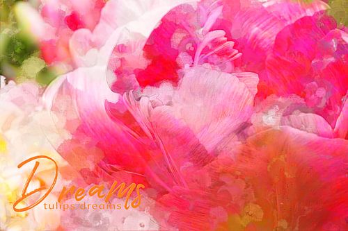 Rêves de tulipes
