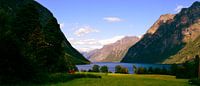 Groene fjord in Noorwegen
