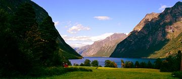 Groene fjord in Noorwegen van Willem van den Berge