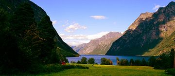 Fjord in Norway sur Willem van den Berge