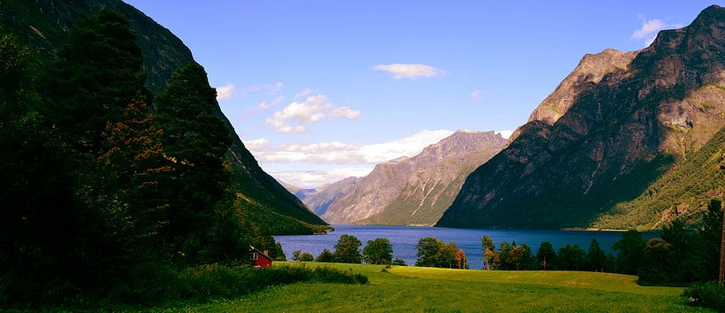 Groene fjord in Noorwegen van Willem van den Berge