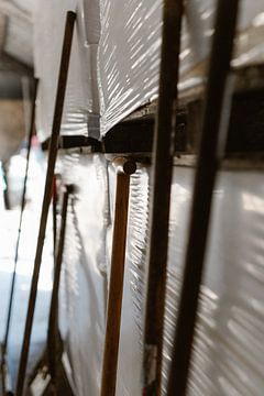 Rest in the barn by Anne van Wijk