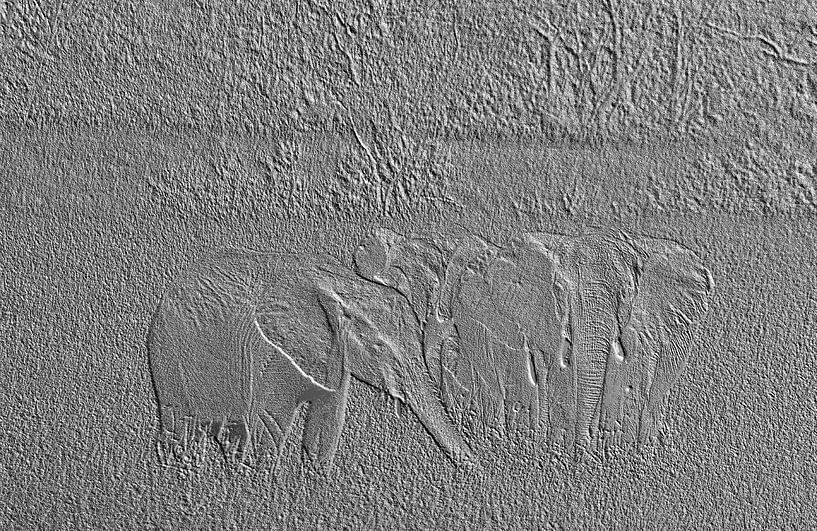 Olifanten van Ronald Wilfred Jansen