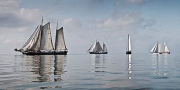 Course de vieux voiliers sur Frans Lemmens
