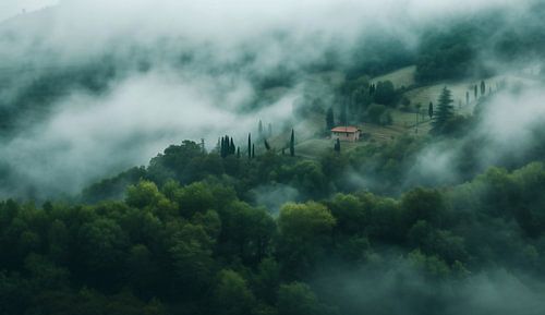 Fog envelops the morning landscape