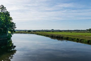 Mooi uitzicht vanuit Den Bosch over de groene weilanden van Bosche Broek