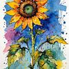 Zonnebloem aquarel schilderen - ruwe textuur bloemig van MIROKKU