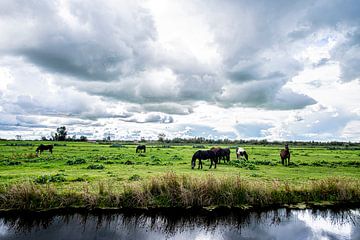 Weiland met Paarden en dreigende wolken. van Brian Morgan