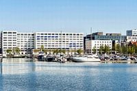Willemdok Marina Antwerp