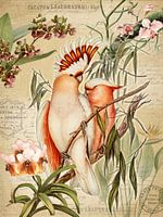 Orchideeën Paradijs