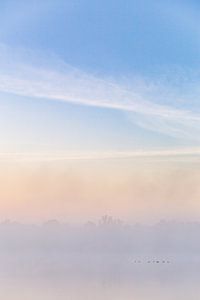 Brouillard du matin sur WvH
