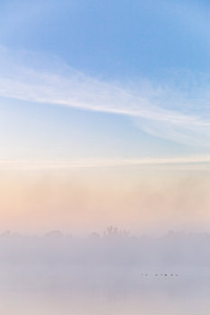Morning Fog