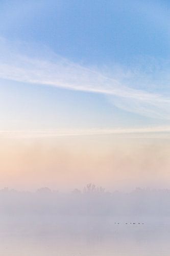 Ochtend Mist