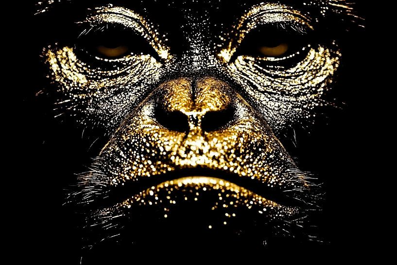 Portrait d'un singe doré par Art & Soul Creations