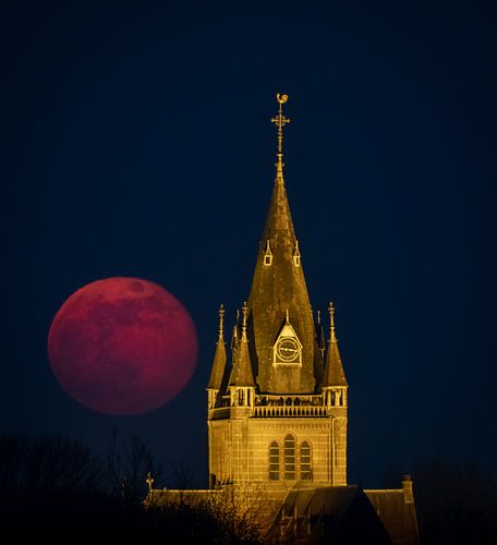 Paasmaan van Koen Boelrijk Photography