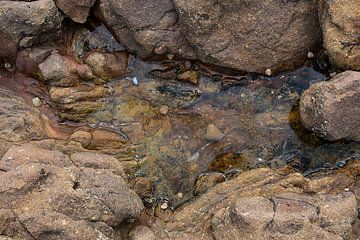 Des pierres dans un bassin de marée I sur Ralph Jongejan