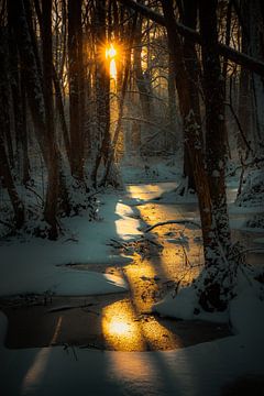 Winter calm by Rik Hurk
