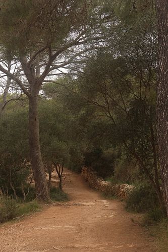 Fairytale inland Menorca