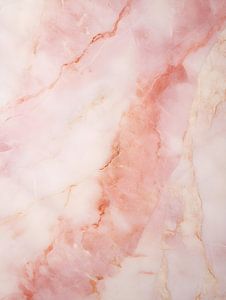 Texture de marbre rose V3