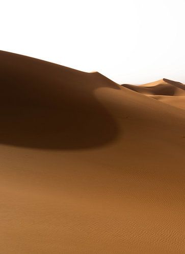 Sahara °7 sur mirrorlessphotographer