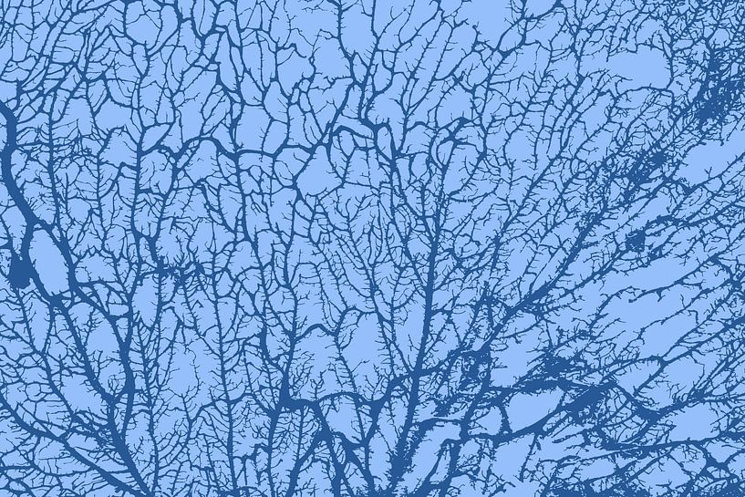 The soul of the forest blue by Mad Dog Art