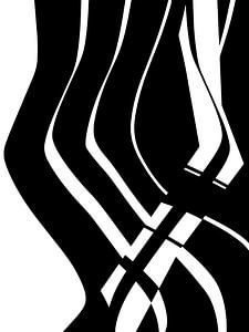Organisch 6 | Schwarz & Weiß Minimalistisch Abstrakt von Menega Sabidussi